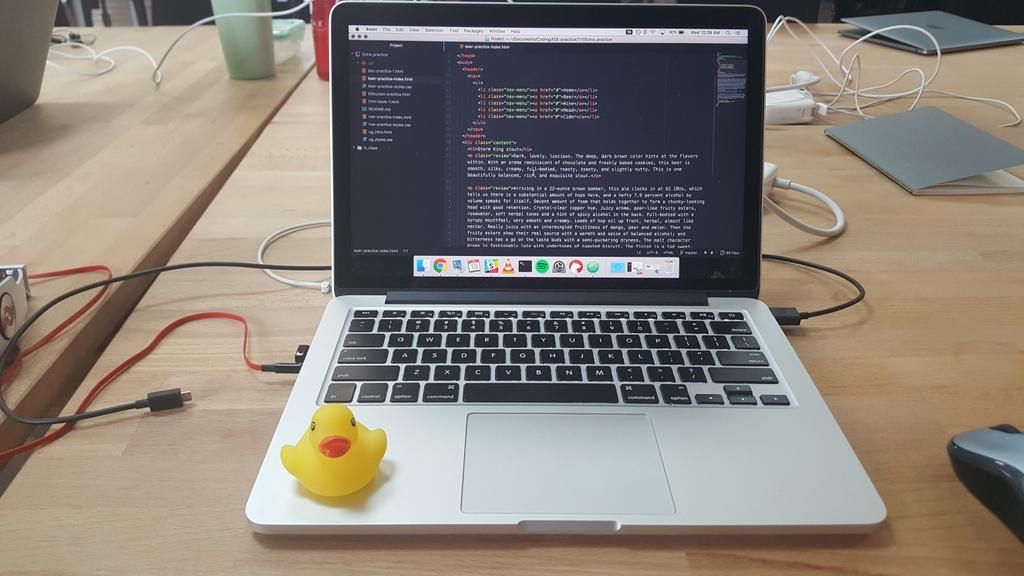 laptop and duck